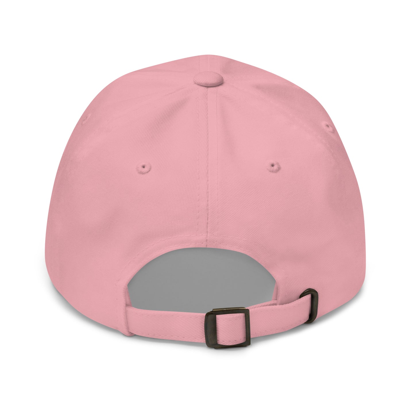 Jetliner Baseball Cap • Pink • DTW Detroit Souvenir • YHM Designs - Image 11