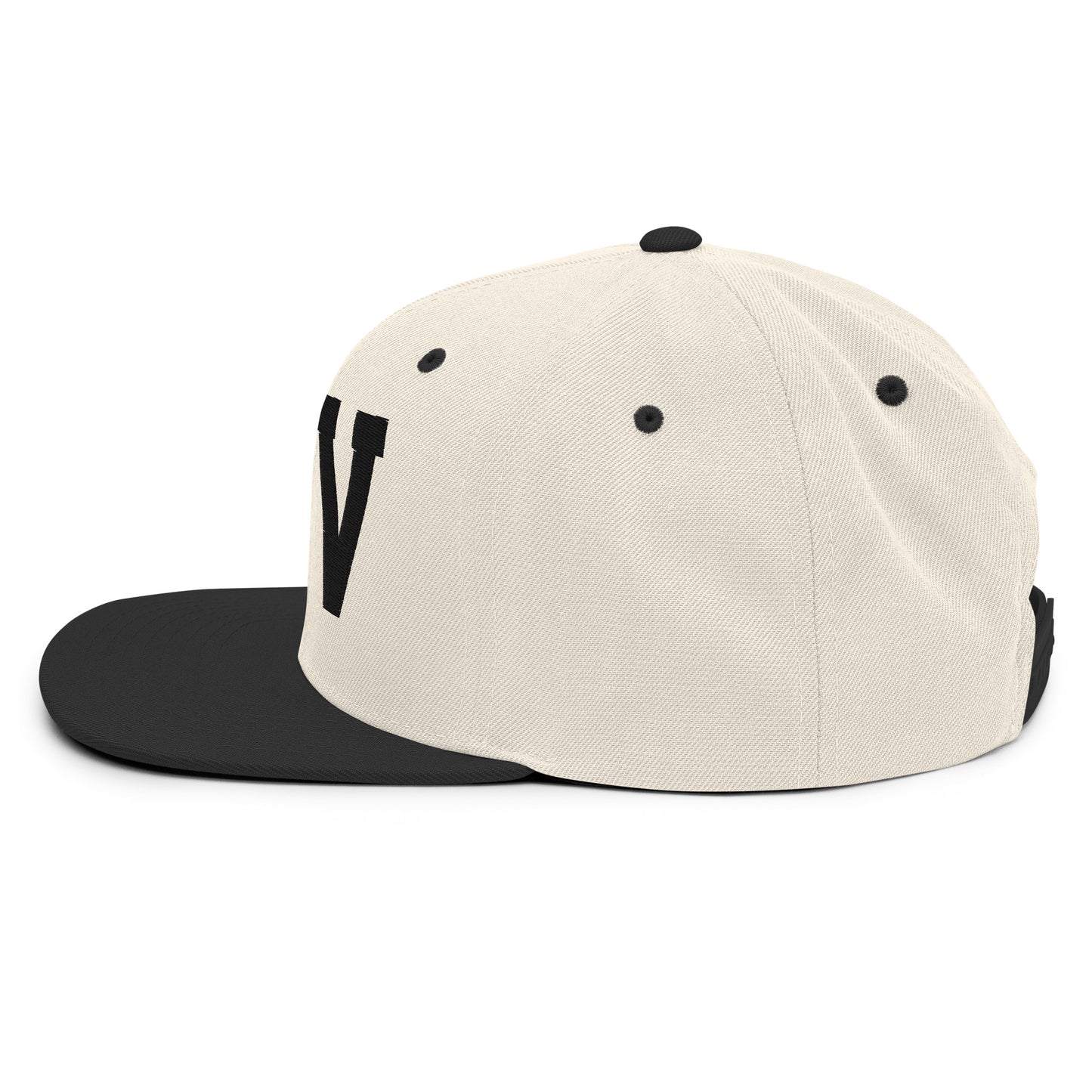 College-Style Classic Snapback Hat • Black • TLV Tel Aviv • YHM Designs - Image 33