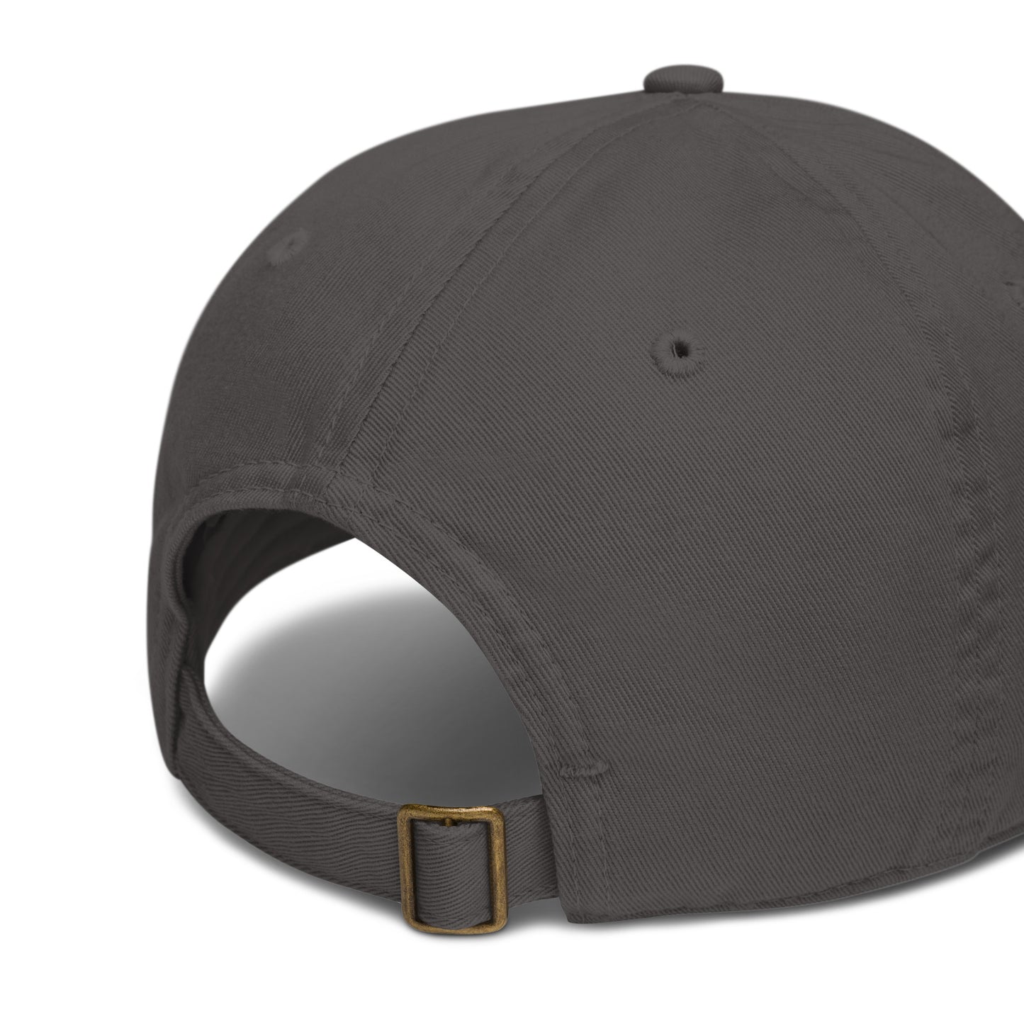 Jetliner Organic Dad Hat • Grey • DUB Dublin • YHM Designs - Image 05