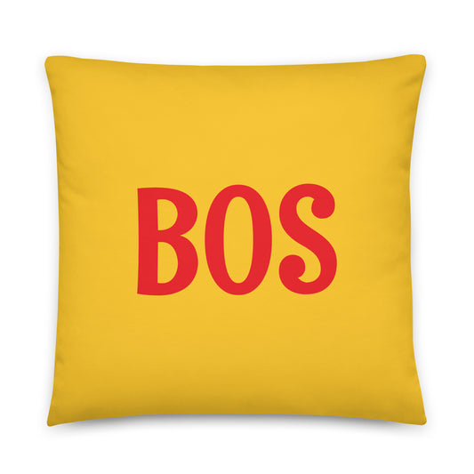 Rainbow Throw Pillow • BOS Boston • YHM Designs - Image 01