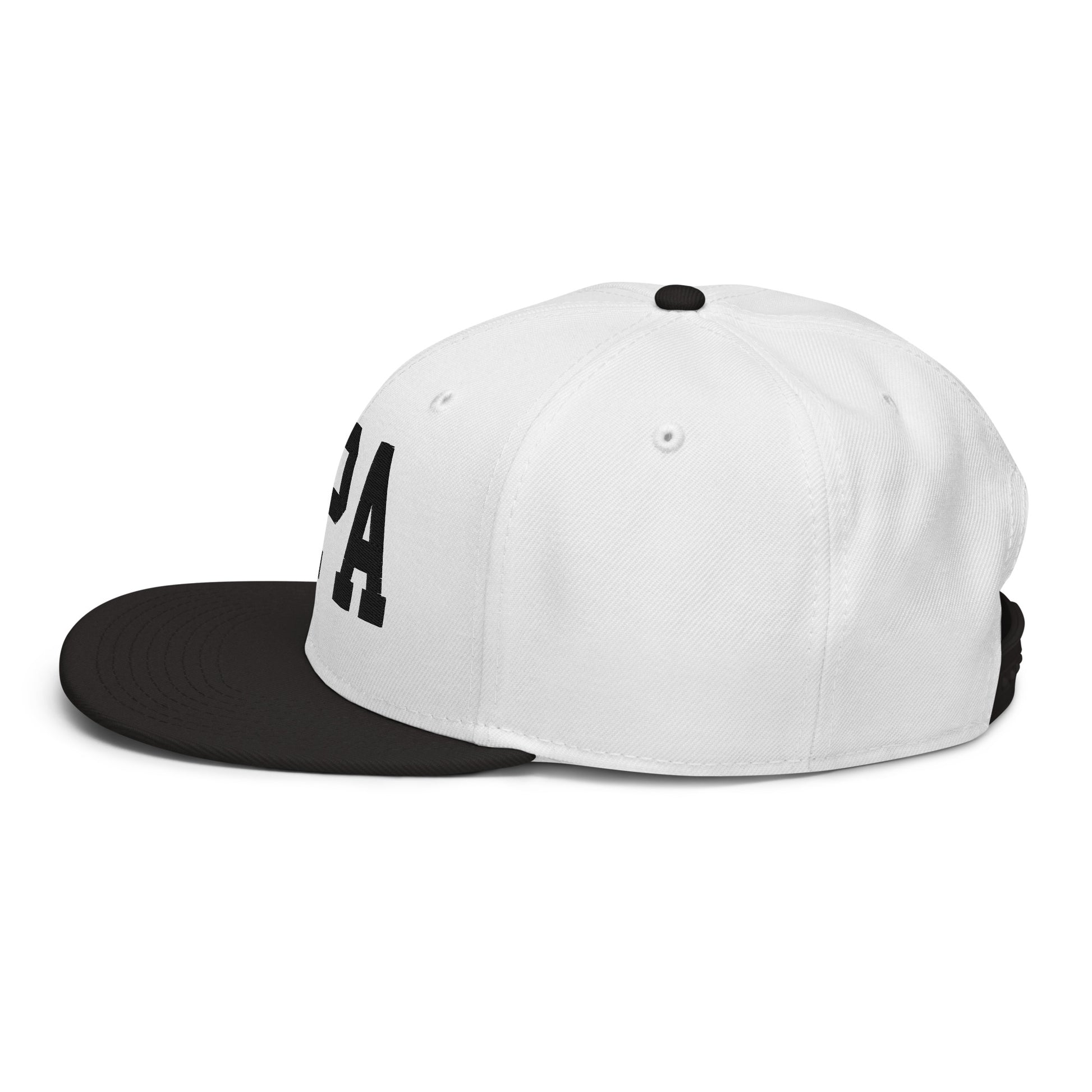 College-Style Wool-Blend Snapback Hat • Black • TPA Tampa • YHM Designs - Image 25