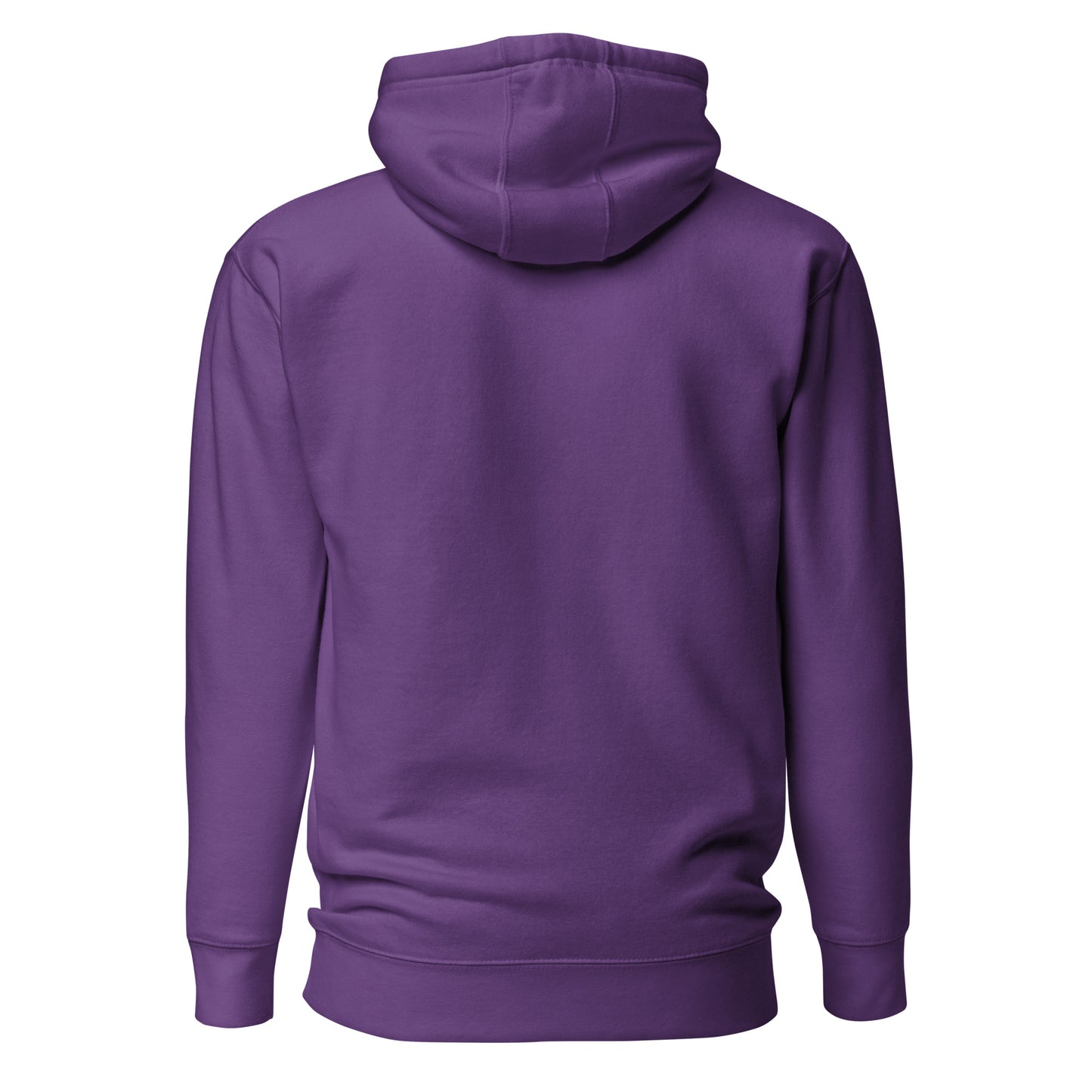 Embroidered Premium Hoodie - Monochrome • MSP Minneapolis • YHM Designs - Image 07