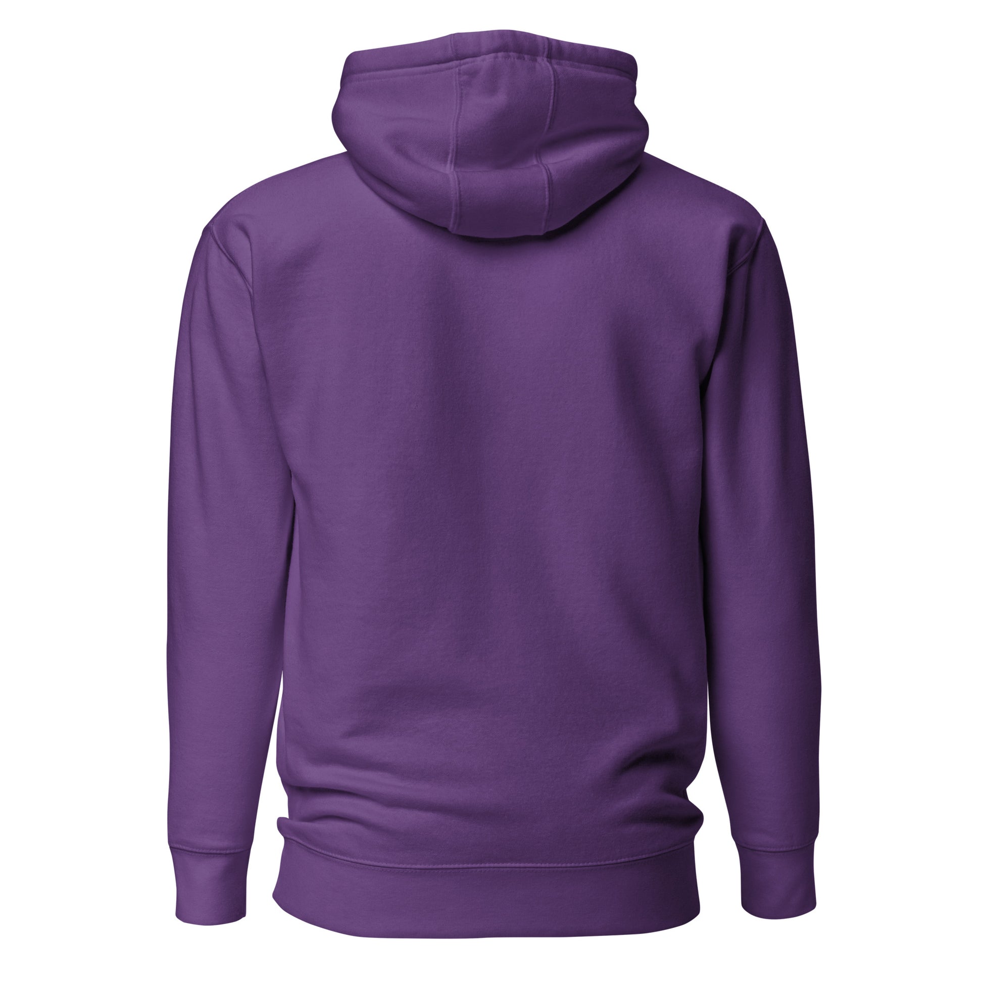 Embroidered Premium Hoodie - Monochrome • MSP Minneapolis • YHM Designs - Image 07